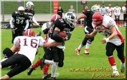 holger_beck_huskies_02_09_07_0049