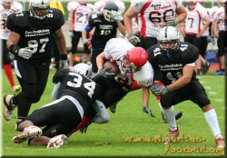 holger_beck_huskies_02_09_07_0154