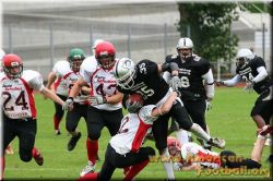holger_beck_huskies_02_09_07_0196